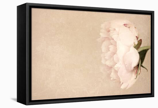 Alluring Flower-Sarah Gardner-Framed Premier Image Canvas