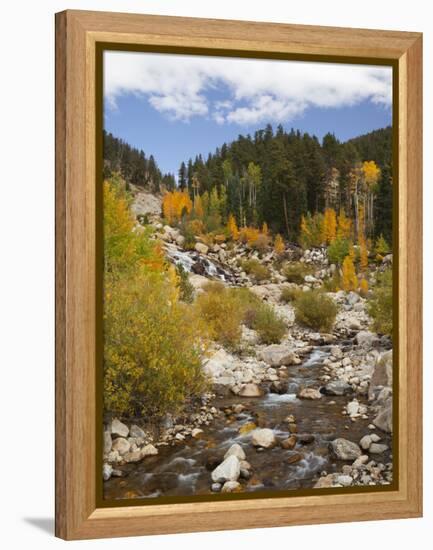 Alluvial Fan, Rocky Mountain National Park, Colorado, USA-Jamie & Judy Wild-Framed Premier Image Canvas