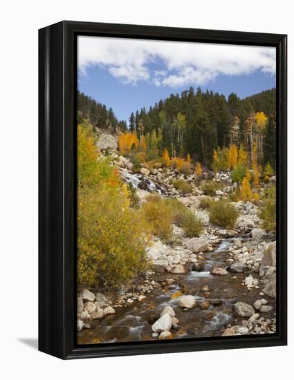 Alluvial Fan, Rocky Mountain National Park, Colorado, USA-Jamie & Judy Wild-Framed Premier Image Canvas