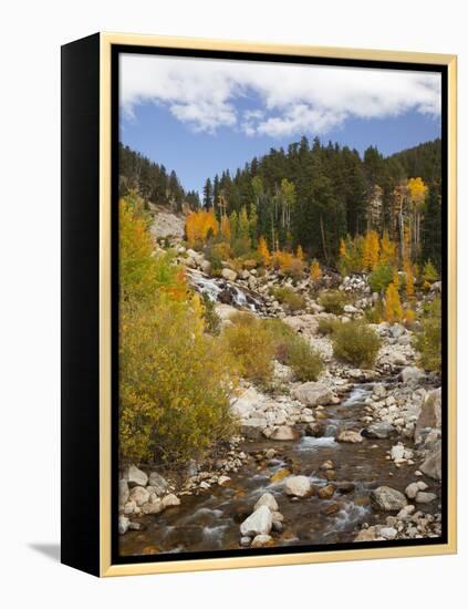 Alluvial Fan, Rocky Mountain National Park, Colorado, USA-Jamie & Judy Wild-Framed Premier Image Canvas