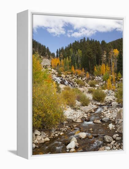 Alluvial Fan, Rocky Mountain National Park, Colorado, USA-Jamie & Judy Wild-Framed Premier Image Canvas