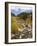 Alluvial Fan, Rocky Mountain National Park, Colorado, USA-Jamie & Judy Wild-Framed Photographic Print