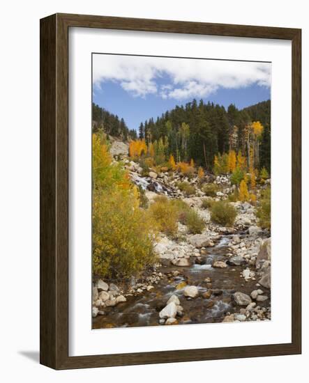 Alluvial Fan, Rocky Mountain National Park, Colorado, USA-Jamie & Judy Wild-Framed Photographic Print