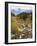 Alluvial Fan, Rocky Mountain National Park, Colorado, USA-Jamie & Judy Wild-Framed Photographic Print