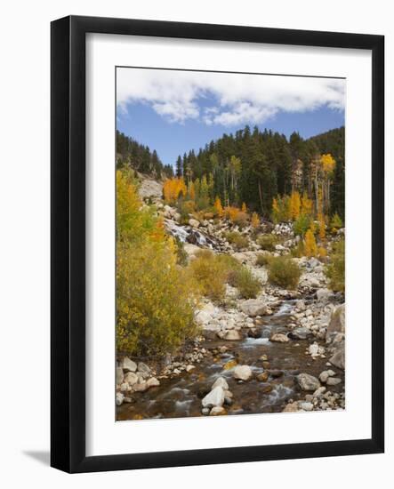 Alluvial Fan, Rocky Mountain National Park, Colorado, USA-Jamie & Judy Wild-Framed Photographic Print