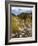 Alluvial Fan, Rocky Mountain National Park, Colorado, USA-Jamie & Judy Wild-Framed Photographic Print