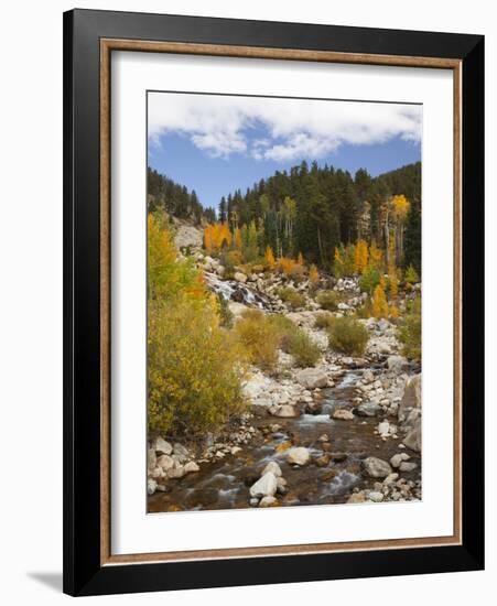 Alluvial Fan, Rocky Mountain National Park, Colorado, USA-Jamie & Judy Wild-Framed Photographic Print