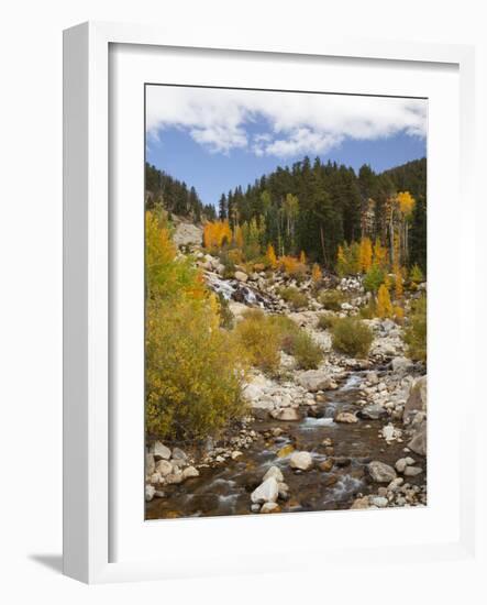 Alluvial Fan, Rocky Mountain National Park, Colorado, USA-Jamie & Judy Wild-Framed Photographic Print