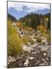 Alluvial Fan, Rocky Mountain National Park, Colorado, USA-Jamie & Judy Wild-Mounted Photographic Print