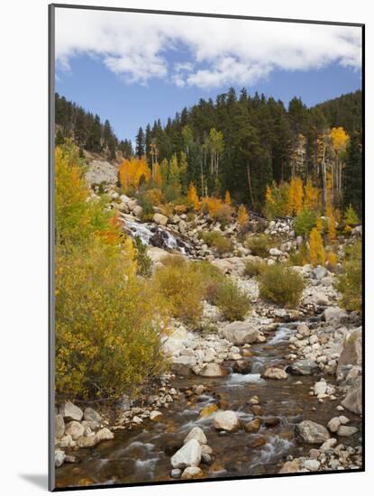 Alluvial Fan, Rocky Mountain National Park, Colorado, USA-Jamie & Judy Wild-Mounted Photographic Print