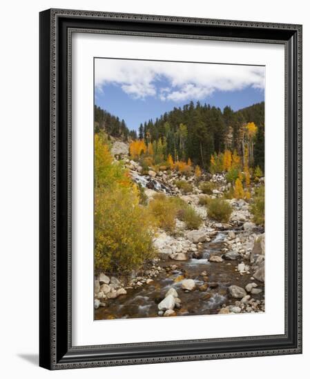 Alluvial Fan, Rocky Mountain National Park, Colorado, USA-Jamie & Judy Wild-Framed Photographic Print