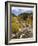 Alluvial Fan, Rocky Mountain National Park, Colorado, USA-Jamie & Judy Wild-Framed Photographic Print