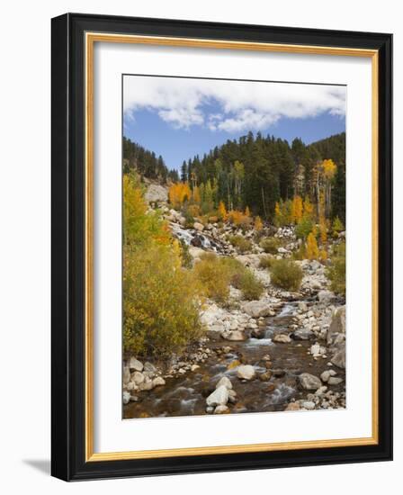 Alluvial Fan, Rocky Mountain National Park, Colorado, USA-Jamie & Judy Wild-Framed Photographic Print