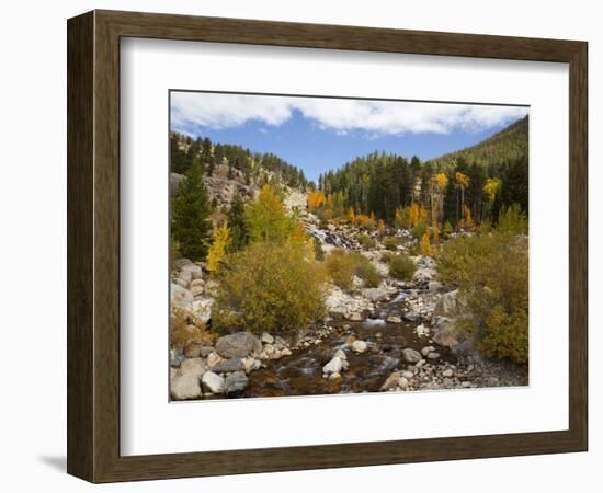 Alluvial Fan, Rocky Mountain National Park, Colorado, USA-Jamie & Judy Wild-Framed Photographic Print