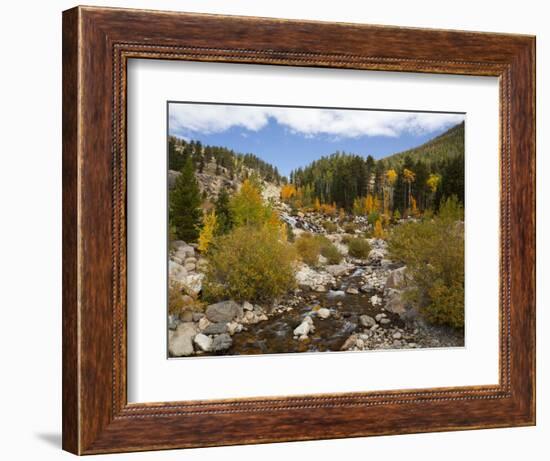 Alluvial Fan, Rocky Mountain National Park, Colorado, USA-Jamie & Judy Wild-Framed Photographic Print