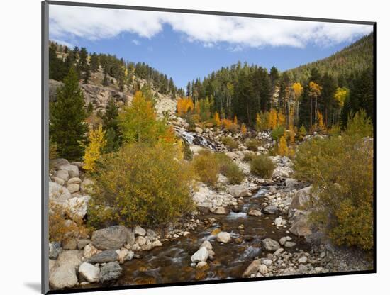 Alluvial Fan, Rocky Mountain National Park, Colorado, USA-Jamie & Judy Wild-Mounted Photographic Print