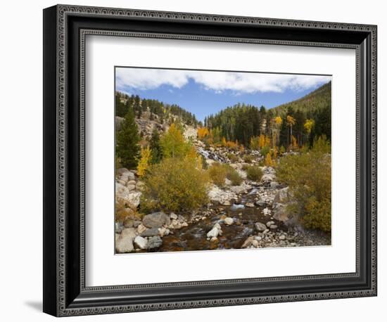 Alluvial Fan, Rocky Mountain National Park, Colorado, USA-Jamie & Judy Wild-Framed Photographic Print