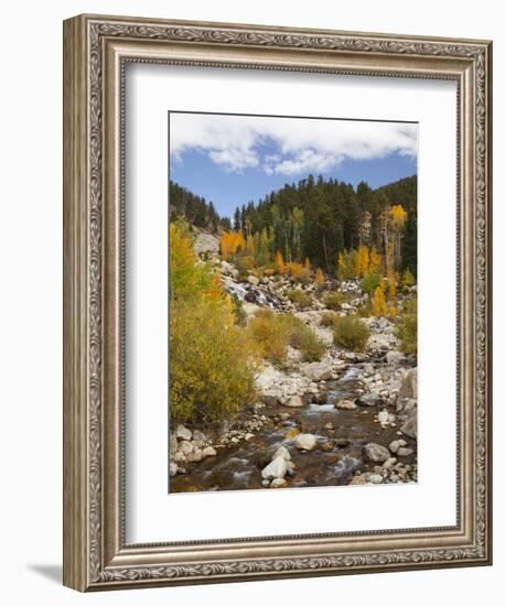 Alluvial Fan, Rocky Mountain National Park, Colorado, USA-Jamie & Judy Wild-Framed Photographic Print