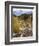 Alluvial Fan, Rocky Mountain National Park, Colorado, USA-Jamie & Judy Wild-Framed Photographic Print