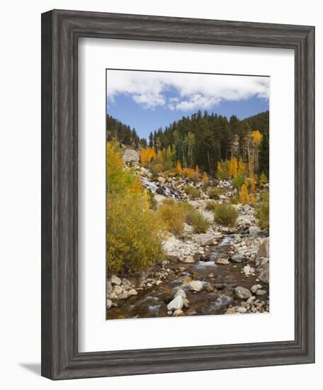 Alluvial Fan, Rocky Mountain National Park, Colorado, USA-Jamie & Judy Wild-Framed Photographic Print