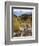 Alluvial Fan, Rocky Mountain National Park, Colorado, USA-Jamie & Judy Wild-Framed Photographic Print