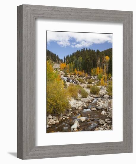 Alluvial Fan, Rocky Mountain National Park, Colorado, USA-Jamie & Judy Wild-Framed Photographic Print