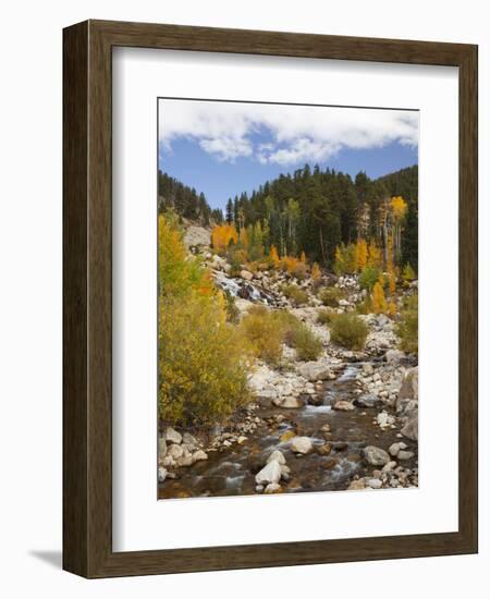 Alluvial Fan, Rocky Mountain National Park, Colorado, USA-Jamie & Judy Wild-Framed Photographic Print