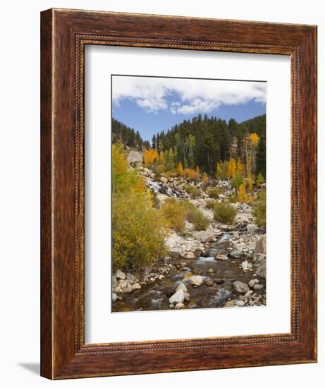 Alluvial Fan, Rocky Mountain National Park, Colorado, USA-Jamie & Judy Wild-Framed Photographic Print