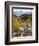 Alluvial Fan, Rocky Mountain National Park, Colorado, USA-Jamie & Judy Wild-Framed Photographic Print