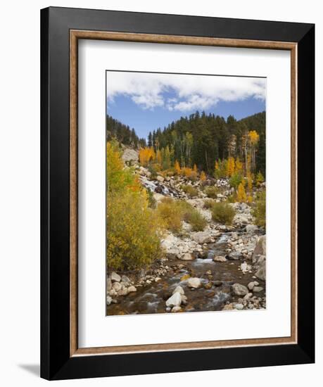 Alluvial Fan, Rocky Mountain National Park, Colorado, USA-Jamie & Judy Wild-Framed Photographic Print