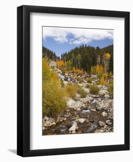 Alluvial Fan, Rocky Mountain National Park, Colorado, USA-Jamie & Judy Wild-Framed Photographic Print