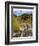 Alluvial Fan, Rocky Mountain National Park, Colorado, USA-Jamie & Judy Wild-Framed Photographic Print