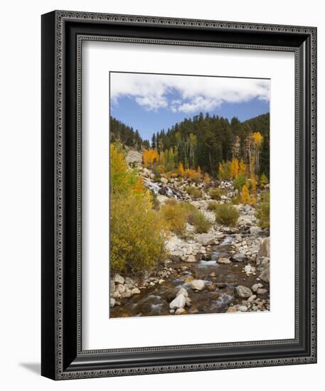 Alluvial Fan, Rocky Mountain National Park, Colorado, USA-Jamie & Judy Wild-Framed Photographic Print