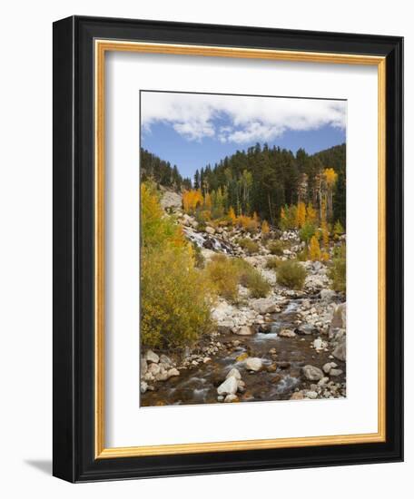 Alluvial Fan, Rocky Mountain National Park, Colorado, USA-Jamie & Judy Wild-Framed Photographic Print