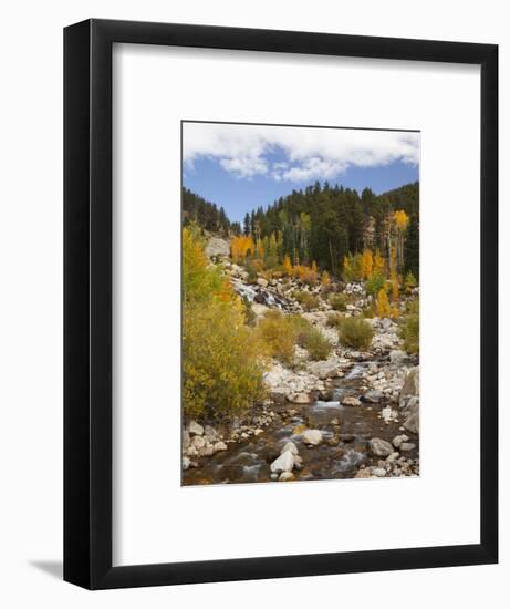 Alluvial Fan, Rocky Mountain National Park, Colorado, USA-Jamie & Judy Wild-Framed Photographic Print