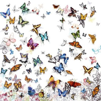 Butterflies Wall Art: Prints, Paintings & Posters