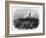 Alma, Zouaves-JC Armytage-Framed Art Print