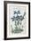 Almanach de Flore : Gentiane Verna-Pancrace Bessa-Framed Giclee Print