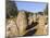 Almendres Cromlech Ancient Stone Circle. Portugal-Martin Zwick-Mounted Photographic Print