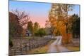 Photographic Print