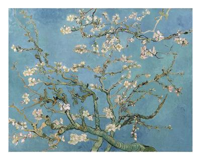 almond blossom 1890 vincent van gogh