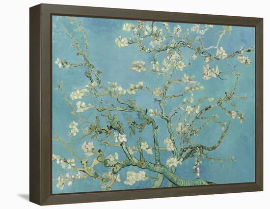 Almond Blossom, 1890-Vincent van Gogh-Framed Premier Image Canvas