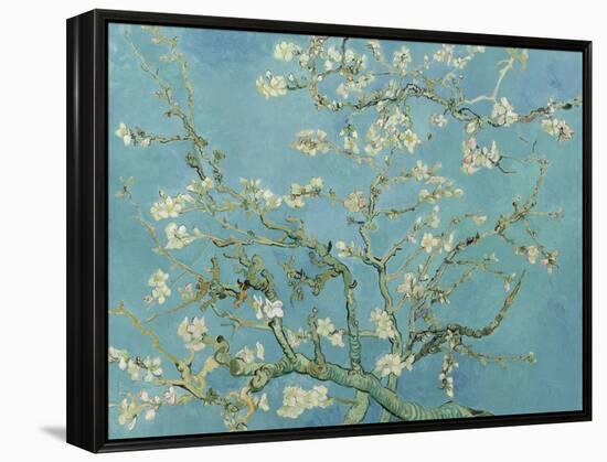 Almond Blossom, 1890-Vincent van Gogh-Framed Premier Image Canvas