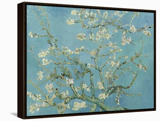 Almond Blossom, 1890-Vincent van Gogh-Framed Premier Image Canvas