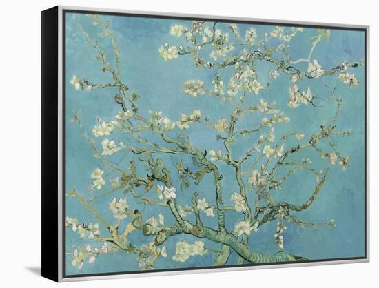 Almond Blossom, 1890-Vincent van Gogh-Framed Premier Image Canvas