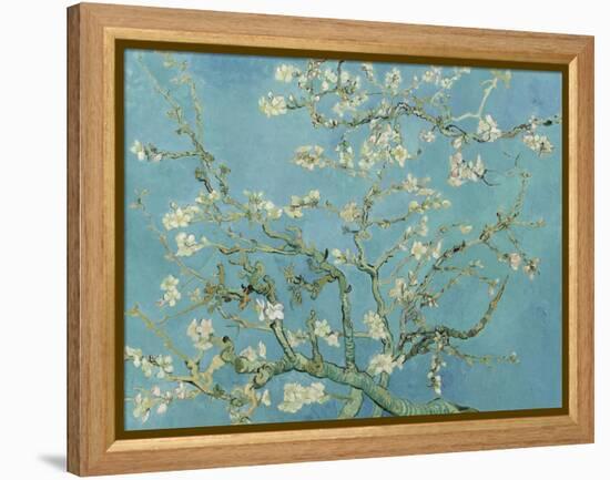 Almond Blossom, 1890-Vincent van Gogh-Framed Premier Image Canvas