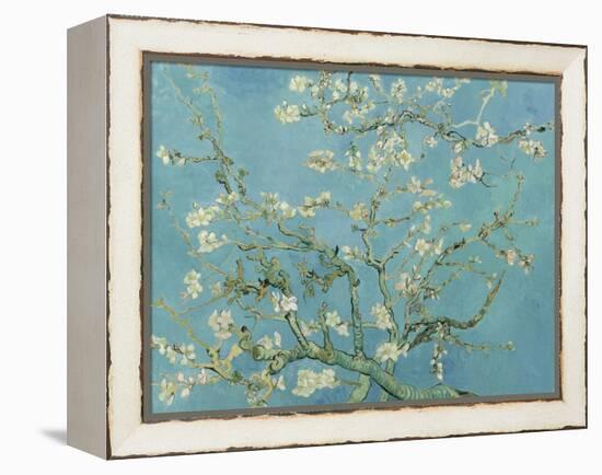 Almond Blossom, 1890-Vincent van Gogh-Framed Premier Image Canvas