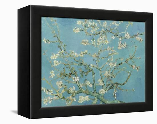 Almond Blossom, 1890-Vincent van Gogh-Framed Premier Image Canvas