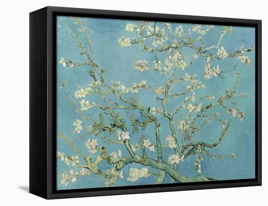 Almond Blossom, 1890-Vincent van Gogh-Framed Premier Image Canvas