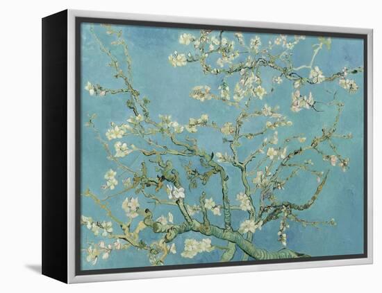 Almond Blossom, 1890-Vincent van Gogh-Framed Premier Image Canvas